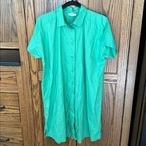Loft Cotton Button Down shirt dress Showgirl Mint Sea Green casual coastal Small